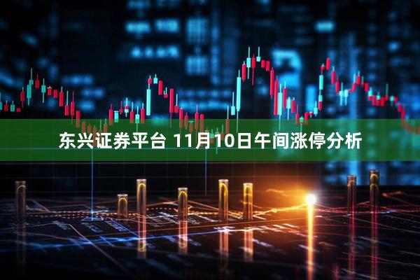 东兴证券平台 11月10日午间涨停分析